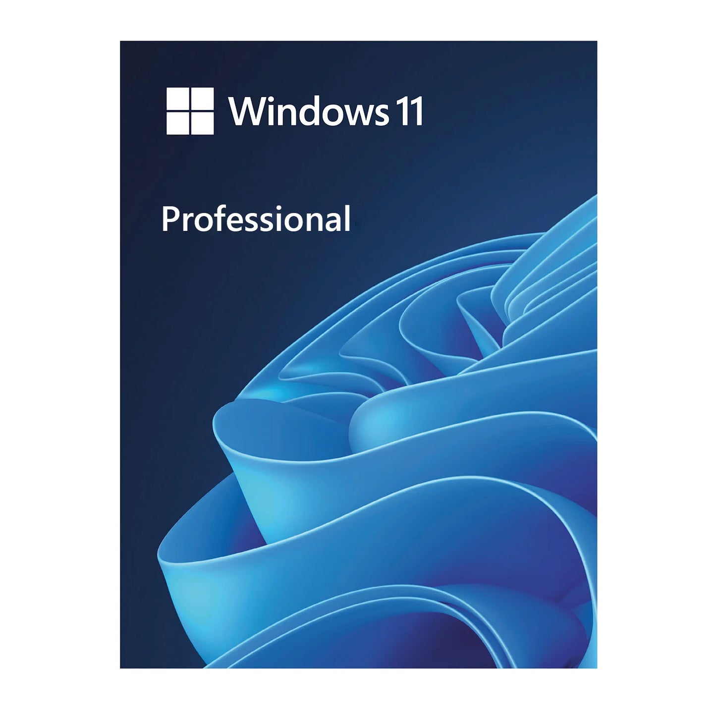 Microsoft Windows 11 Professional - Licenza OEM