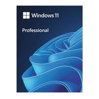 Microsoft Windows 11 Professional - Licenza OEM