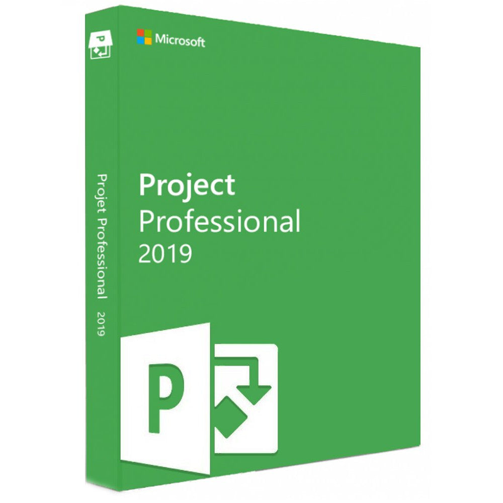 Microsoft Project 2019 Professional